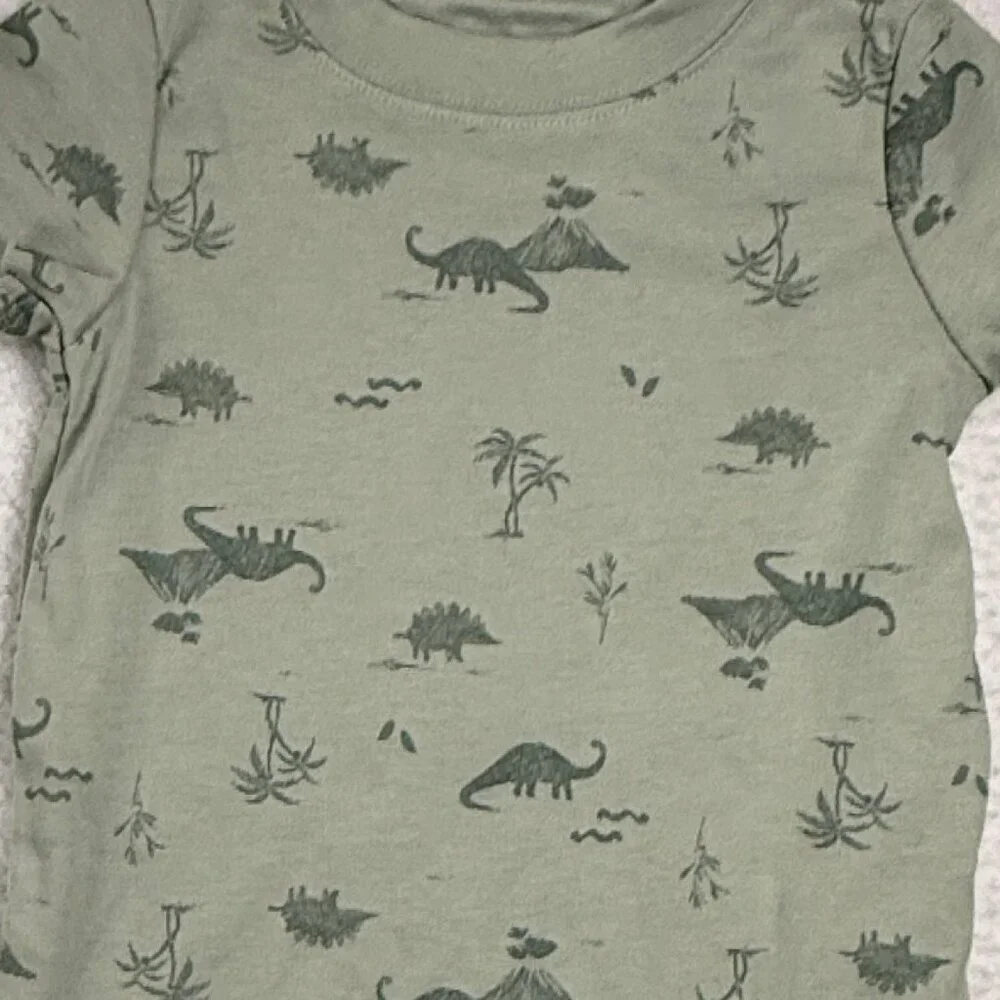 NEW Carter's Lot of‎ 2 Baby Boy 18M Bodysuit Dinosaur Chase the Sun Green White